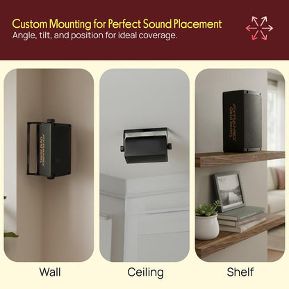 Bass Reflex 3-Way Box Speakers