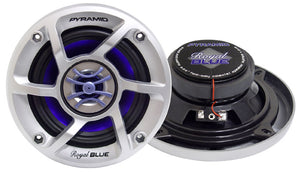 5.25" Royal Blue Speaker