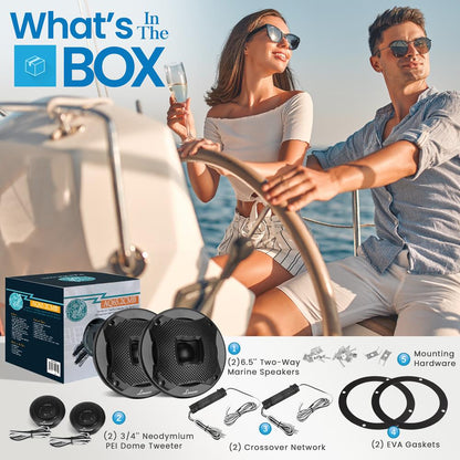 Two-Way Marine Component Speaker Systems - One Pair 6.5'' Two-Way Component Kit, 450 Watts W/ 4 Ohm Impedance And 1'' High-Temperature Asv Voice Coil, Black (Pair)