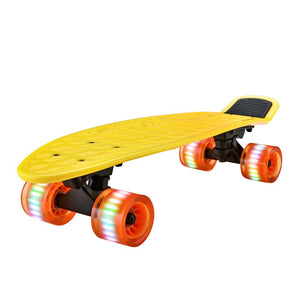 6'' Pp Deck Skateboard