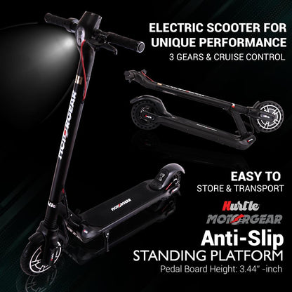 Foldable Electric Scooter
