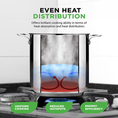 19-Quart Stainless Steel Stockpot, Induction-Compatible, See-Through Lid