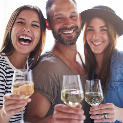 Crystal Wine Glasses - Elegant Design, Lead-Free Crystal, Dishwasher Safe