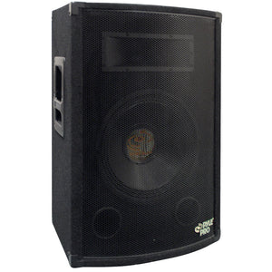 500 Watt 10'' 2-Way Speaker Cabinet