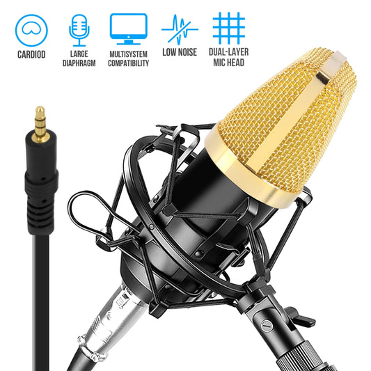 Cardioid Condenser Mic Kit - Crisp Audio, Large Diaphragm, Easy Setup