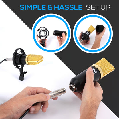 Cardioid Condenser Mic Kit - Crisp Audio, Large Diaphragm, Easy Setup