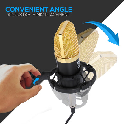 Cardioid Condenser Mic Kit - Crisp Audio, Large Diaphragm, Easy Setup