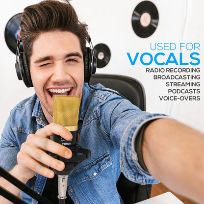 Cardioid Condenser Mic Kit - Crisp Audio, Large Diaphragm, Easy Setup