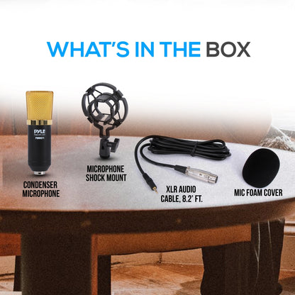 Cardioid Condenser Mic Kit - Crisp Audio, Large Diaphragm, Easy Setup