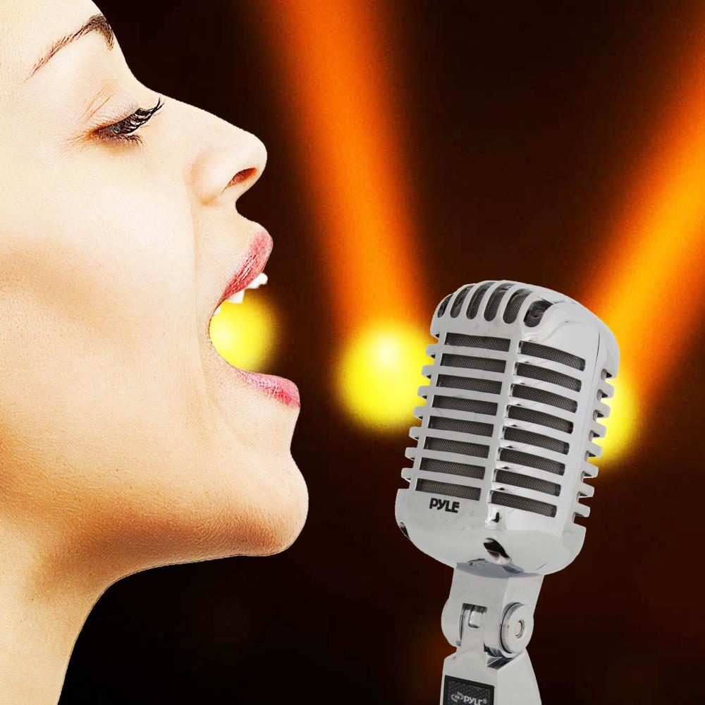 Pyle Classic Retro Dynamic Vocal Microphone - Old Vintage Style Unidirectional Cardioid Mic With XLR Cable - Universal Stand Compatible - Live Performance In Studio Recording - PDMICR42SL (Silver - Foto 4