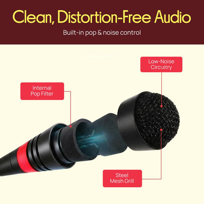 Desktop Gooseneck Mic System - Clear Voice, Pop Filter, Adjustable Position