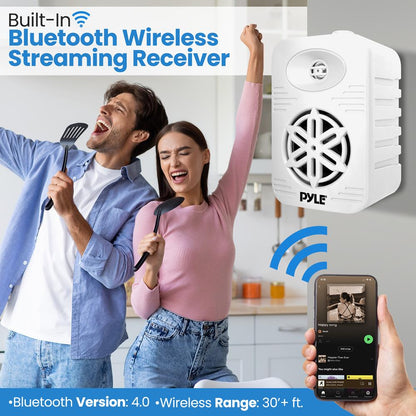 Wireless Bt Streaming Speaker System