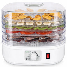 Electric Countertop Food Dehydrator, Food Preserver