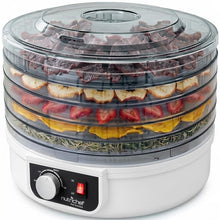 Electric Countertop Food Dehydrator, Food Preserver (White)