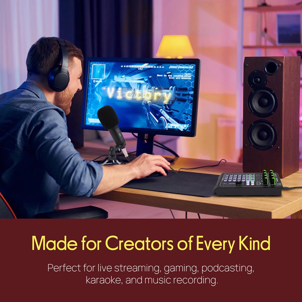 Portable Sound Card & Mic Set - Pro Audio, Noise Reduction, Metal
