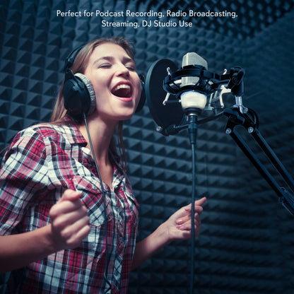 Adjustable Mic Boom Stand - Quick Setup, Steel Alloy, Desktop Use