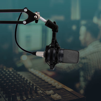 Adjustable Mic Boom Stand - Quick Setup, Steel Alloy, Desktop Use