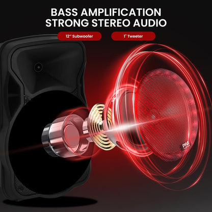 Portable Pa Speaker With Led Lights