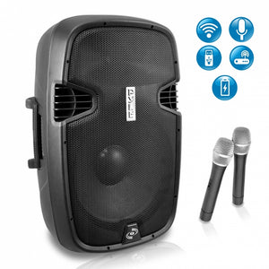 Portable Bluetooth Pa Loudspeaker System