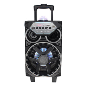 8” Portable Pa Speaker