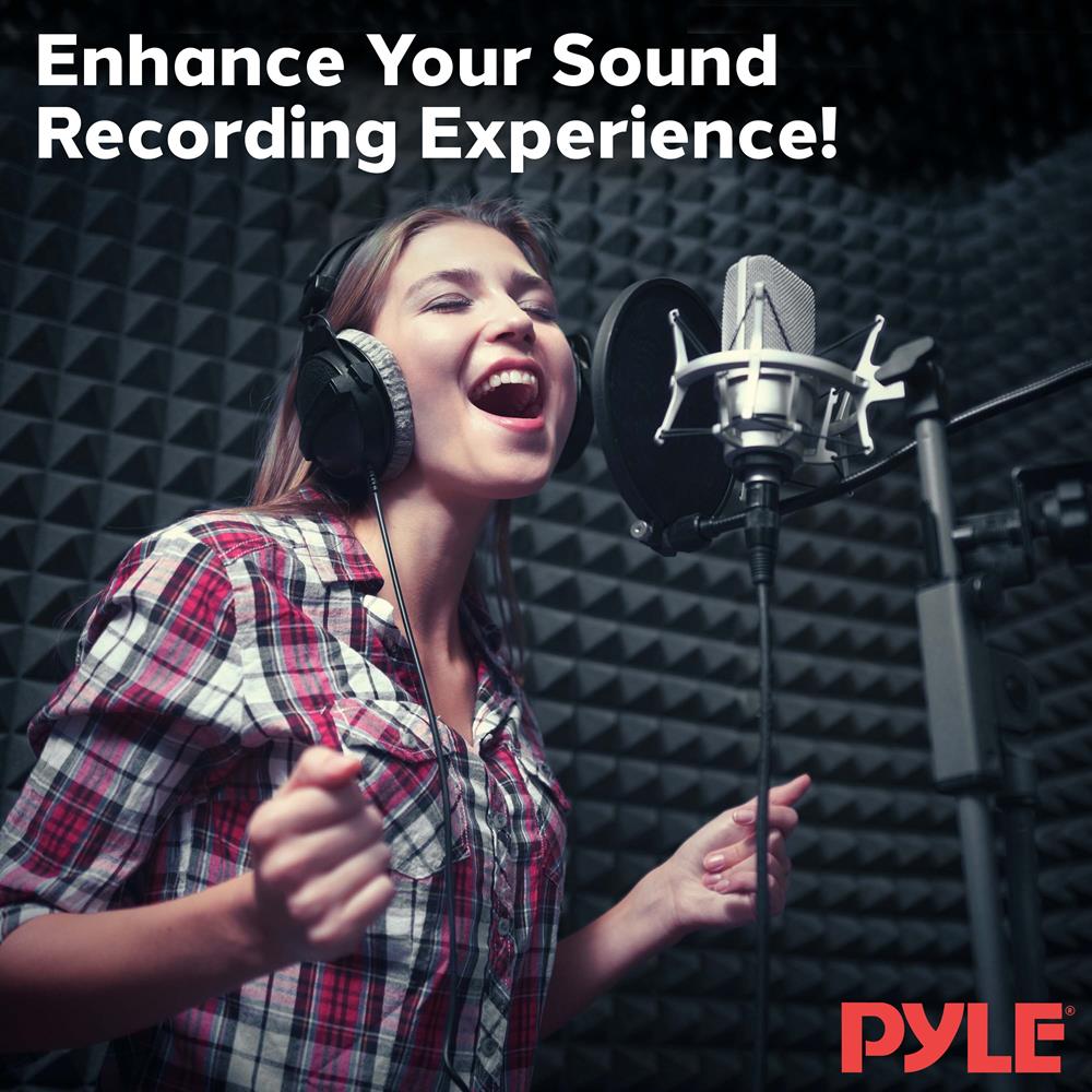 Acoustic Foam Panels 2-Pack, Noise Reduction, 2