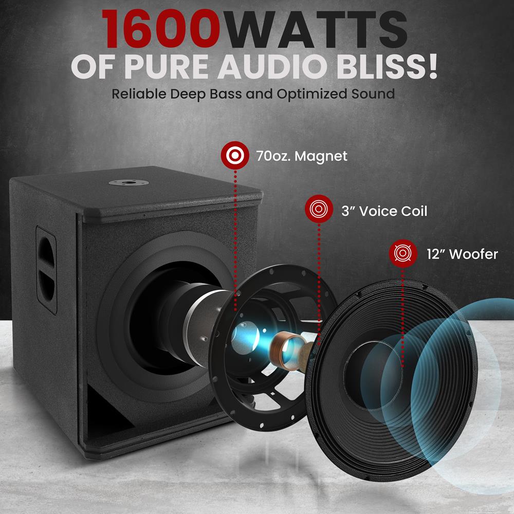 12" 1600W Subwoofer System, Louder Bass, DSP Processor, Wooden Enclosure - Thumbnail 2