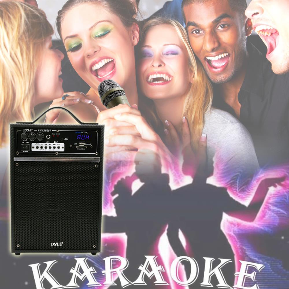 300W Portable Bluetooth PA Speaker, Rechargeable, 6.5