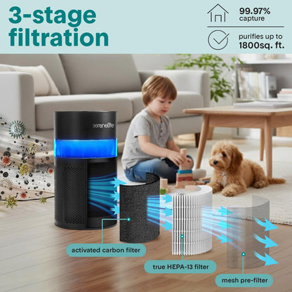Portable Air Purifier - Small Air Purifier with Aroma Box & Ambient Light, High Filtration Efficiency, 2-Speed, Timer & Sleep Mode (Black)