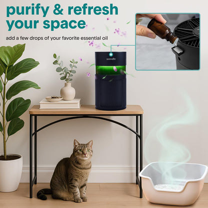 Portable Air Purifier - Small Air Purifier with Aroma Box & Ambient Light, High Filtration Efficiency, 2-Speed, Timer & Sleep Mode (Black)