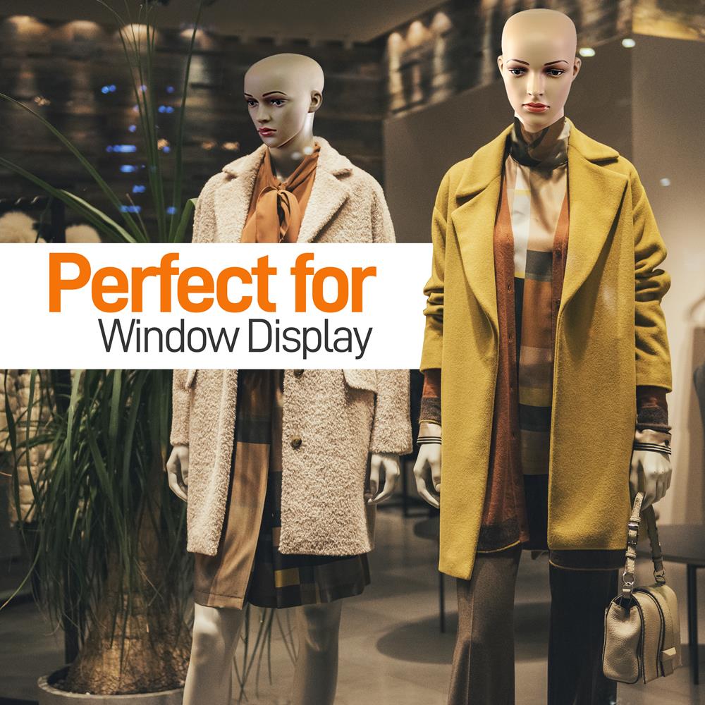 product image number 5 for SereneLife Female Torso Dress Form Mannequin