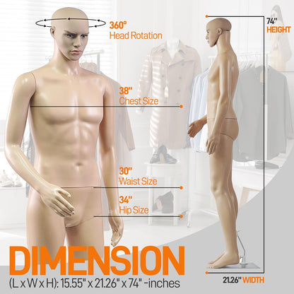 product image number 2 for SereneLife Male Torso Dress Form Mannequin