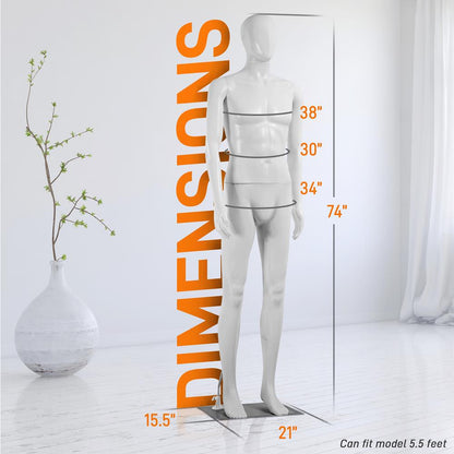 Male Torso Dress Form Mannequin